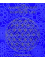 Ancient Secret of the Flower of Life Volume 2