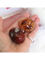 Carnelian Polished - Madagascar for creativity, courage, passion, love