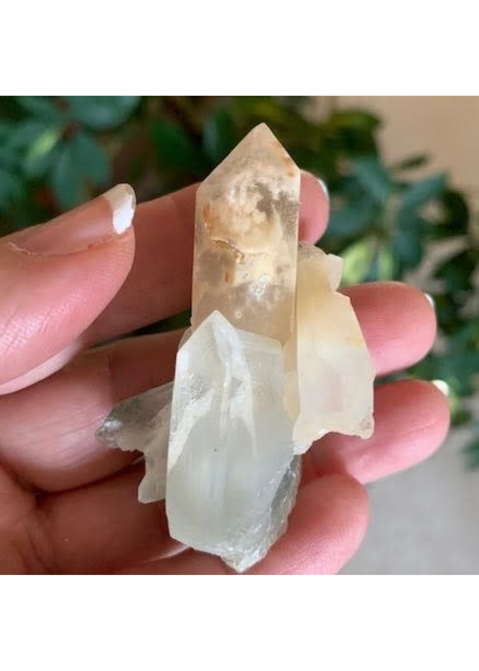 Quartz Asbestos Clusters, Russia *RARE*