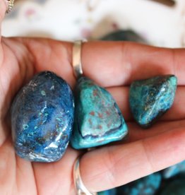 Chrysocolla with Shattuckite stepping into your Divine Feminine