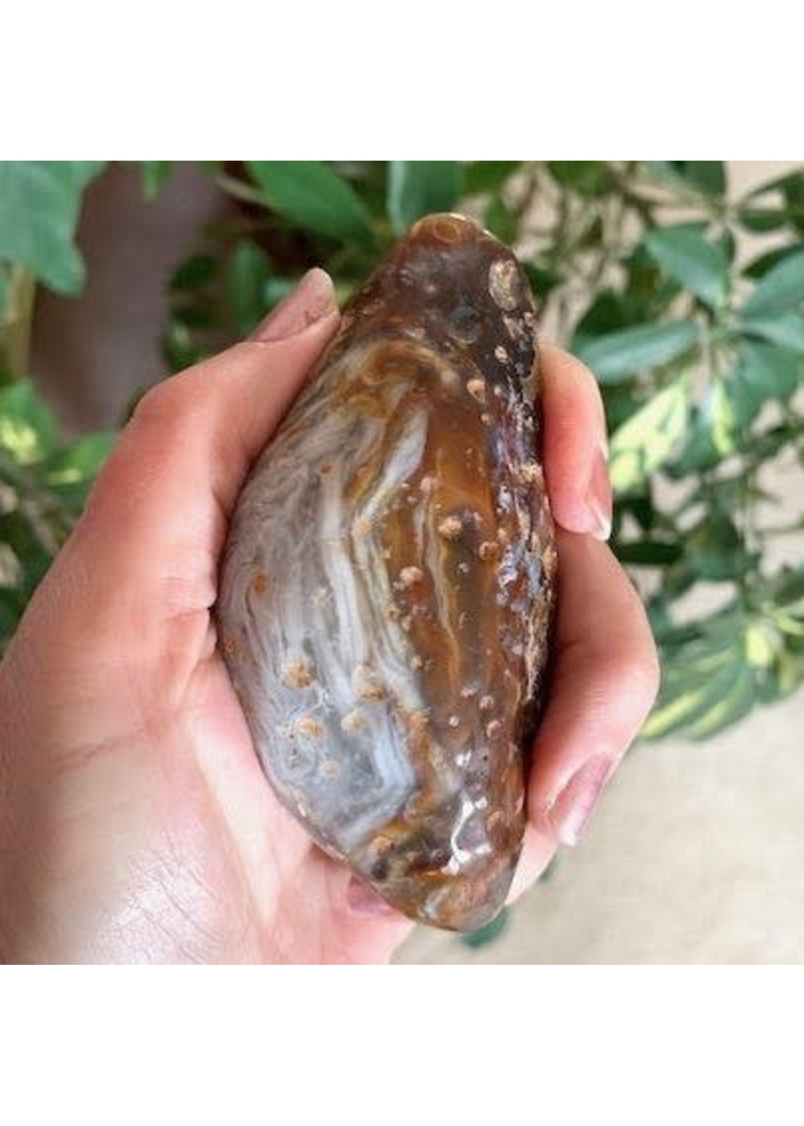 Agate Enhydros ancient healing and cleansing