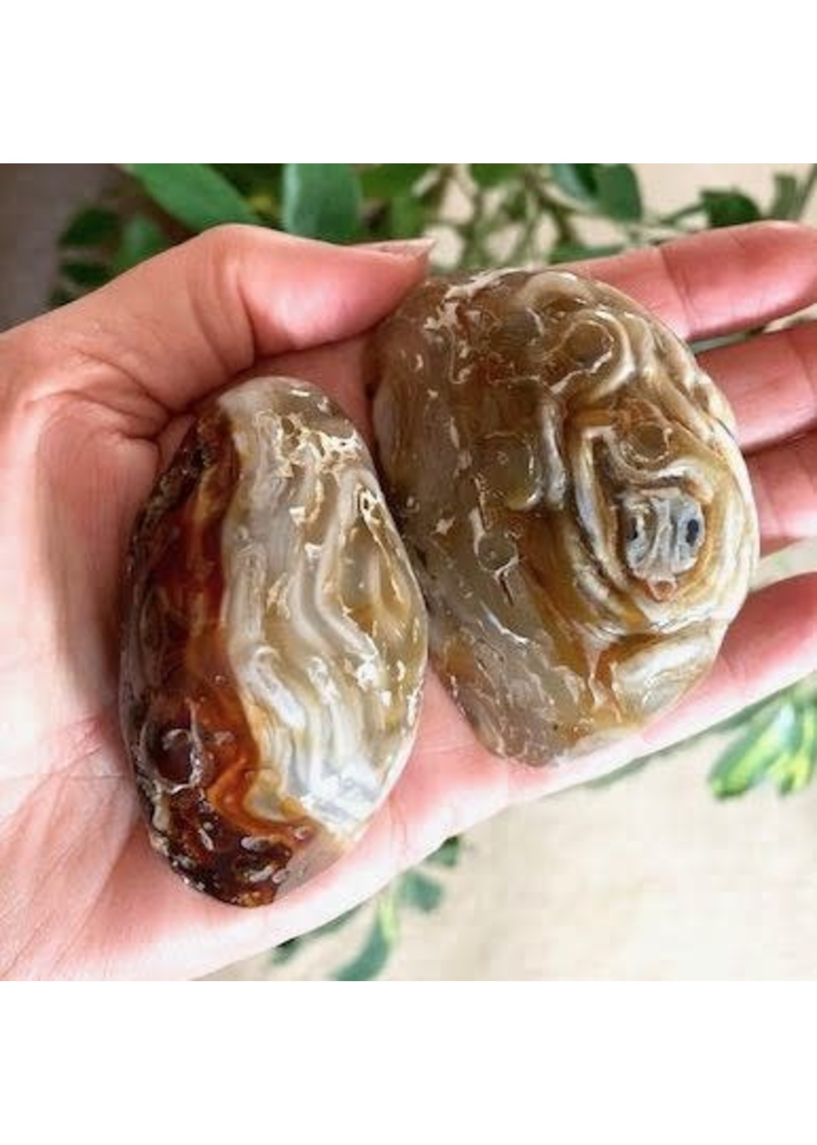 Agate Enhydros ancient healing and cleansing