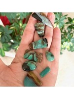 Shifting Indonesian Opalized Wood for alchemy and change