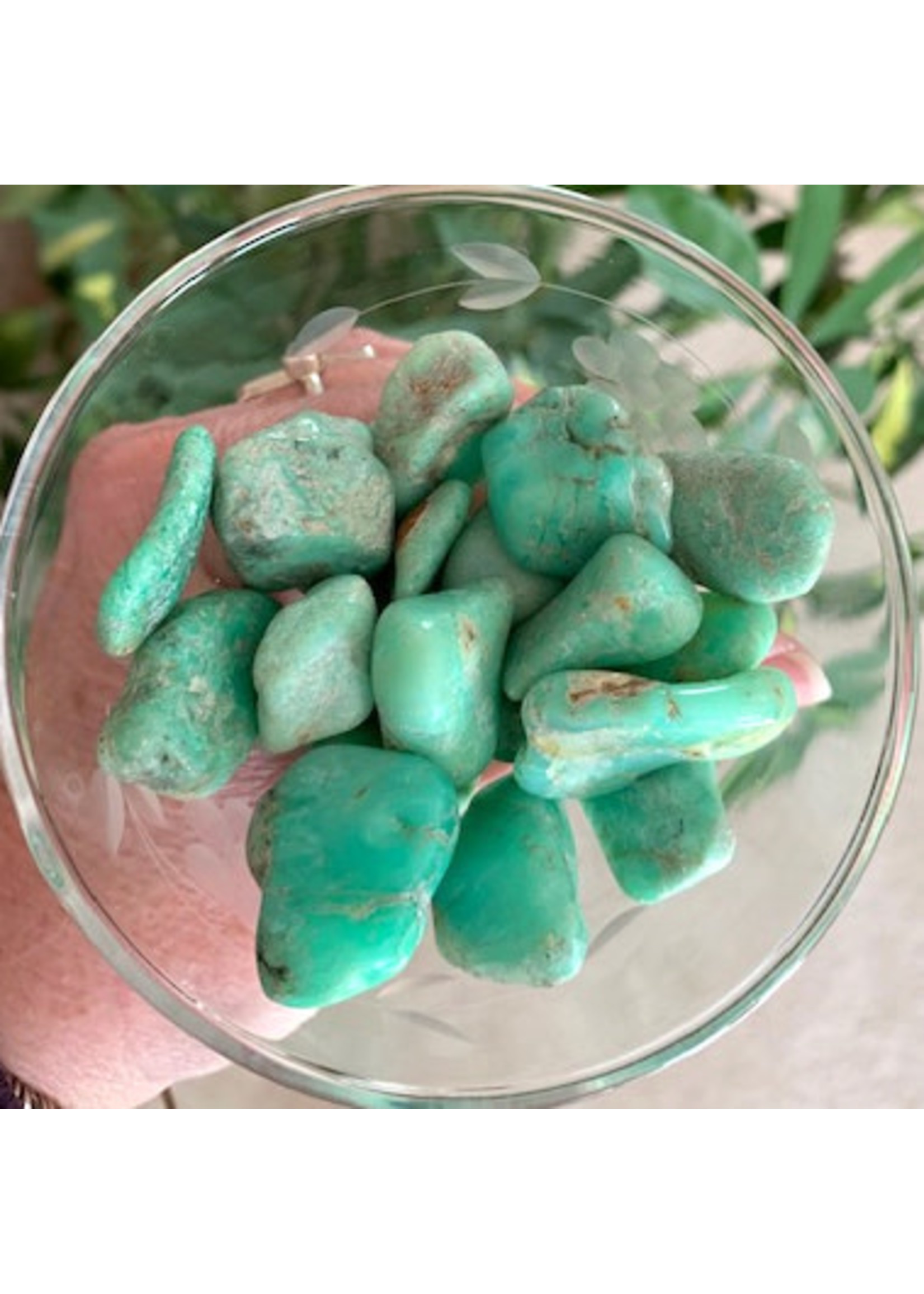 Chrysoprase Polished Orphan