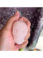 Skulls for ancient wisdom