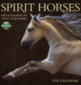 Spirit Horses Calendar 2023
