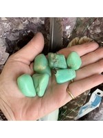 Chrysoprase Polished Grade AAA Orphan