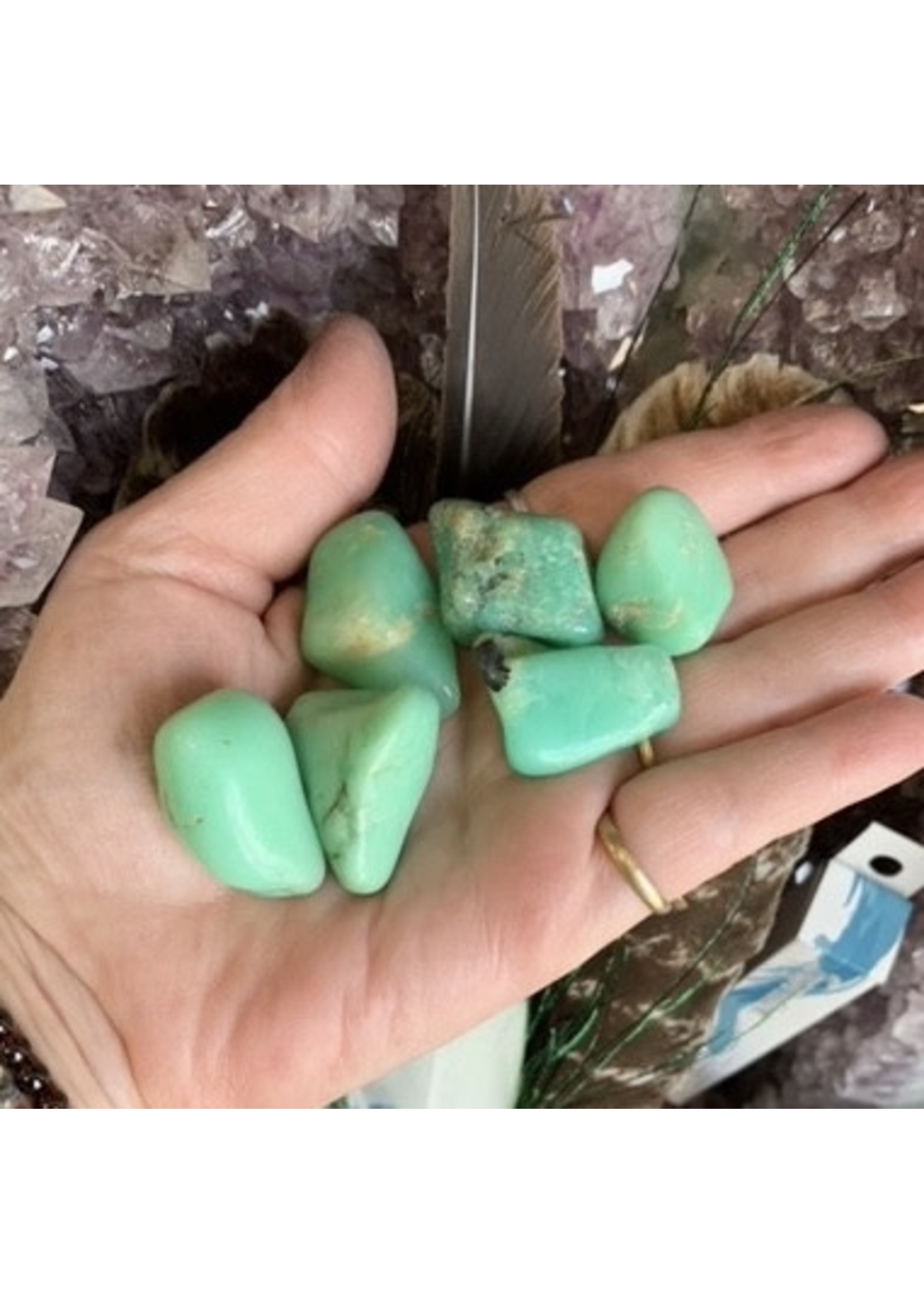 Chrysoprase Polished Grade AAA Orphan
