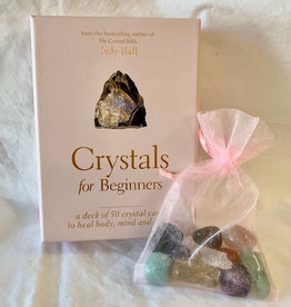 Crystals For Beginners Gift Set - Oracle