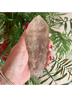 Smoky Quartz Lightning Struck Points with Rutile for protection through change