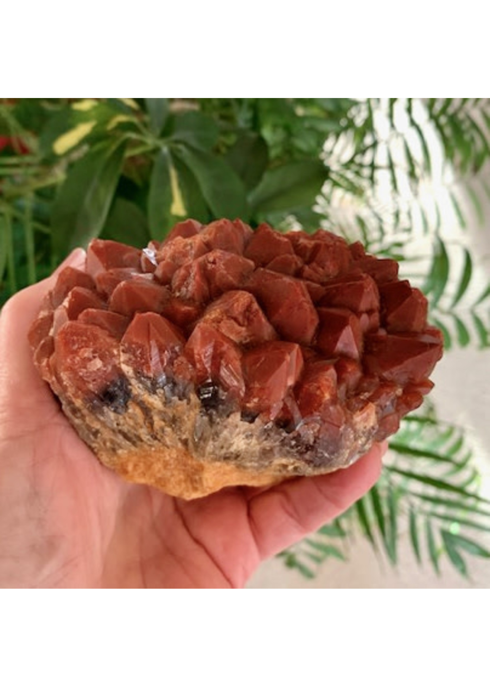 Red Cap Amethyst Clusters for Inner Strength