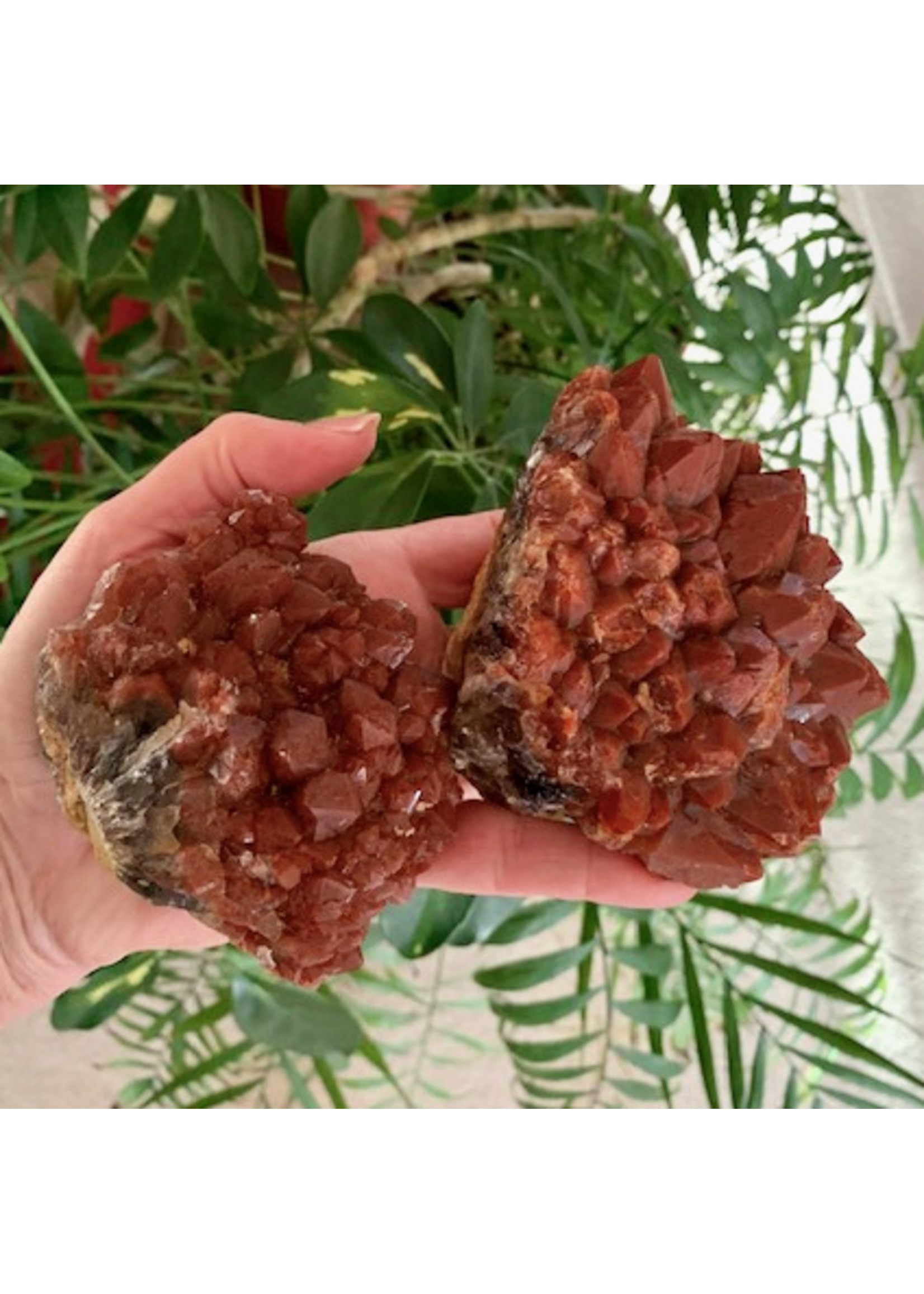 Red Cap Amethyst Clusters for Inner Strength