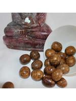 Sanskrit Jasper Polished for ancient wisdom