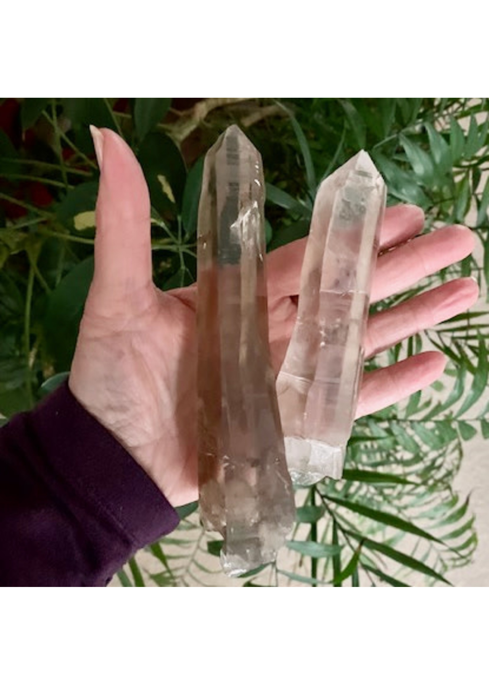 rutilated Smoky Quartz Points for clearing and purification