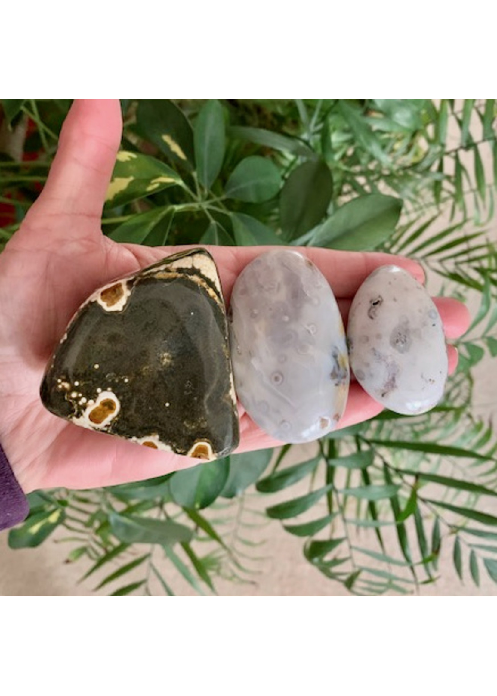 Ocean Jasper Polished for joy and bliss