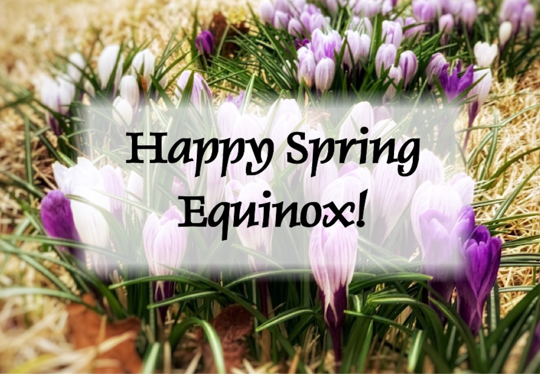 Spring Equinox - Time Of Renewal
