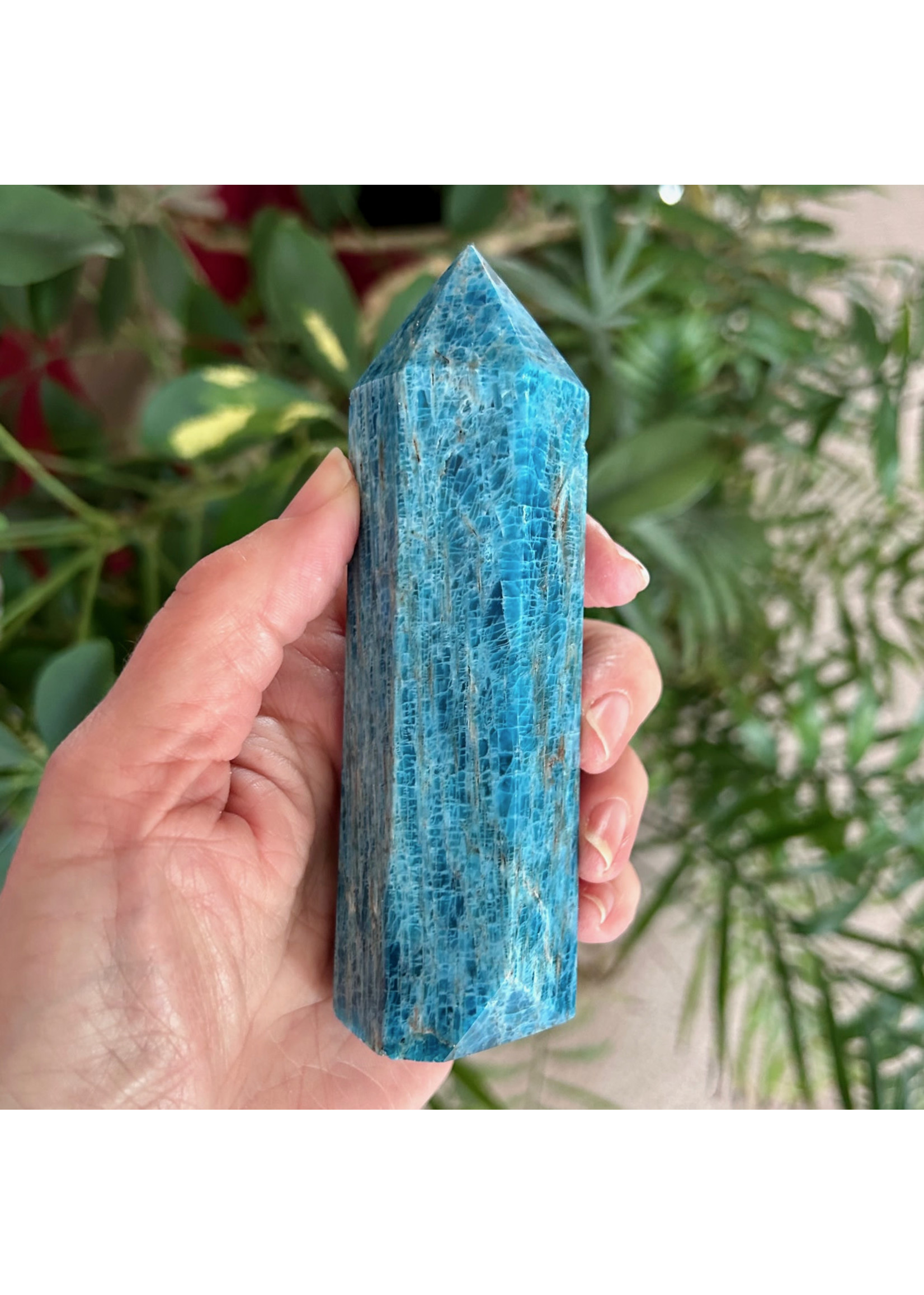 Apatite Generators for wisdom and guidance