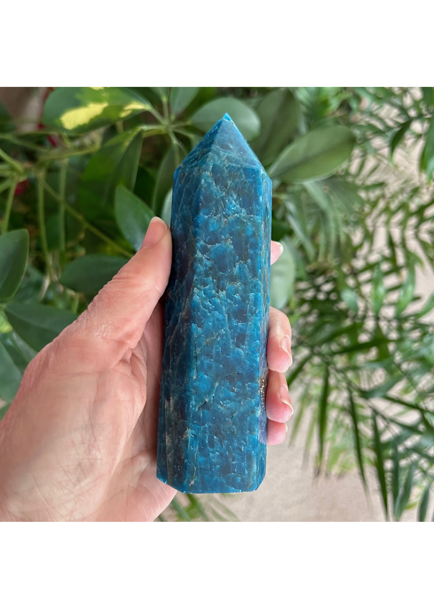 Apatite Generators for wisdom and guidance