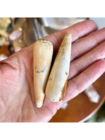Picture  Jasper Wands for directing creativity