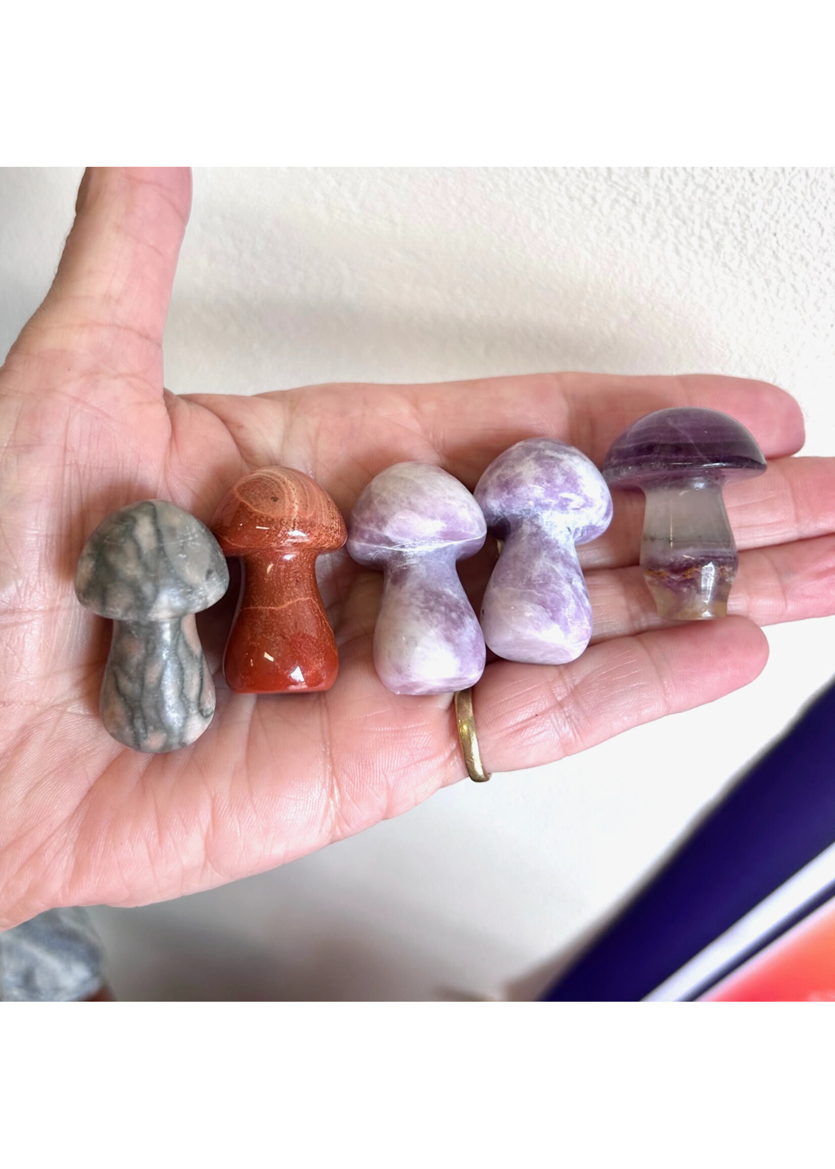 Assorted Mini Mushrooms for spiritual growth