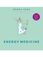 Little Book of Energy Medicine