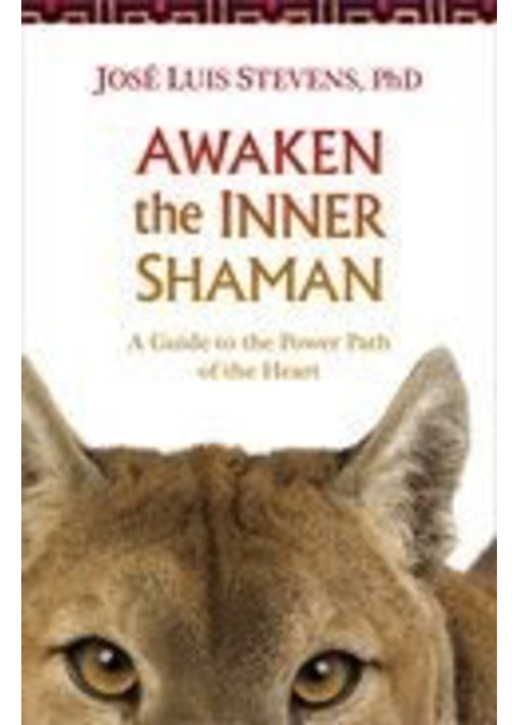 Awaken the Inner Shaman