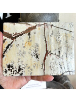 Dendritic Agate Slabs for self-empowerment