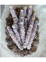 Organic Desert Sage Bundles Large 12"