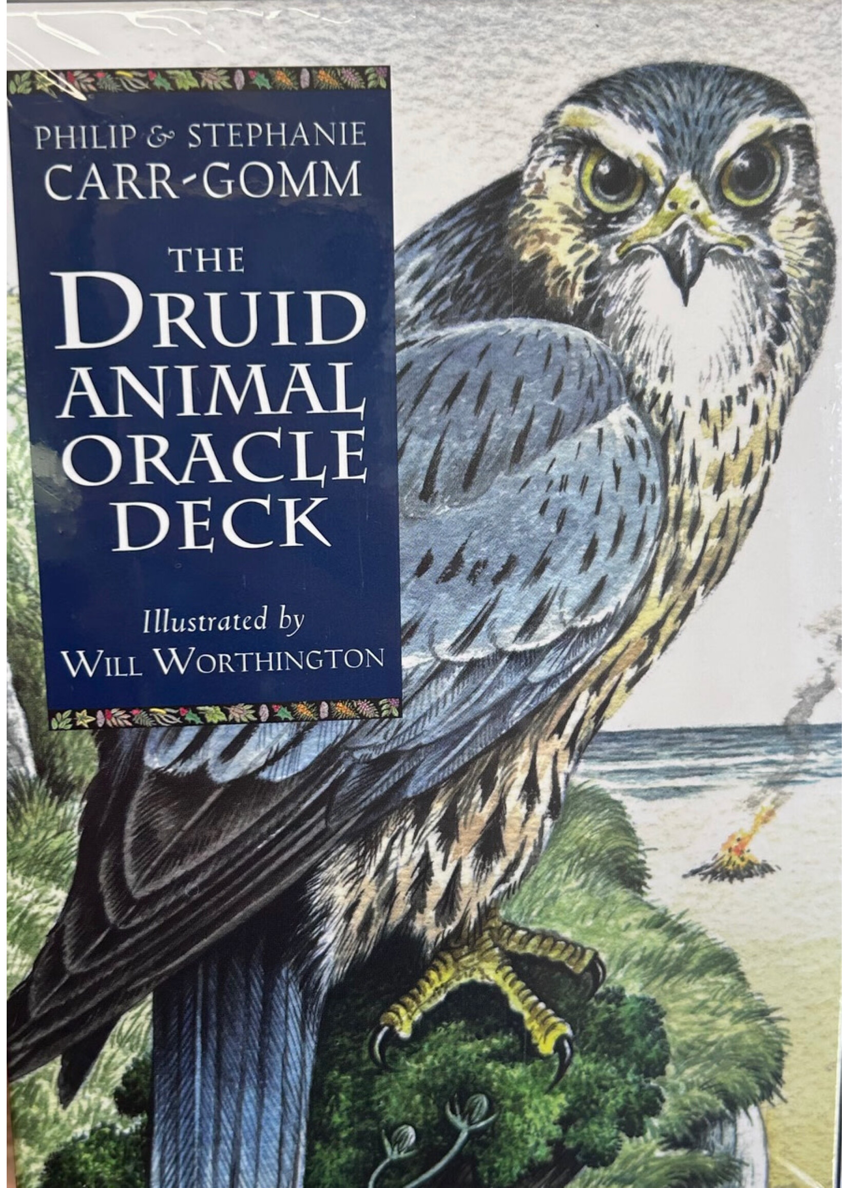 Druid Animal Oracle Cards