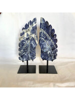 Peaceful Presence Sodalite Angel Wings Pair