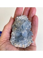 Divine Grace Celestite Clusters