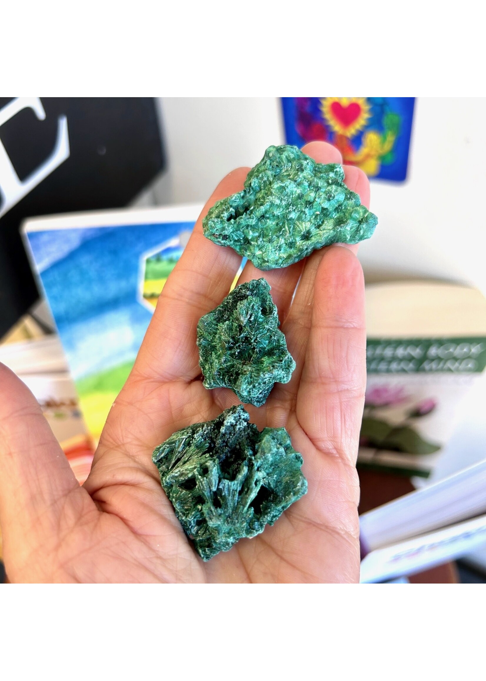 Velvety Emerald Coral Malachite