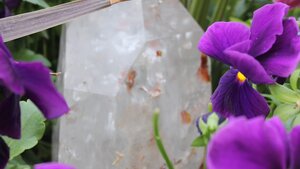 Crystals and Gardening