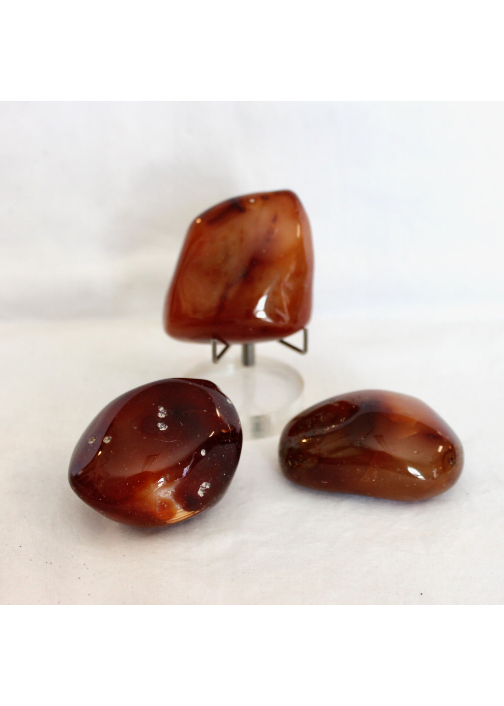 Carnelian Polished  Pocket Stones