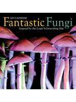 Fantastic Fungi Calendar 2025