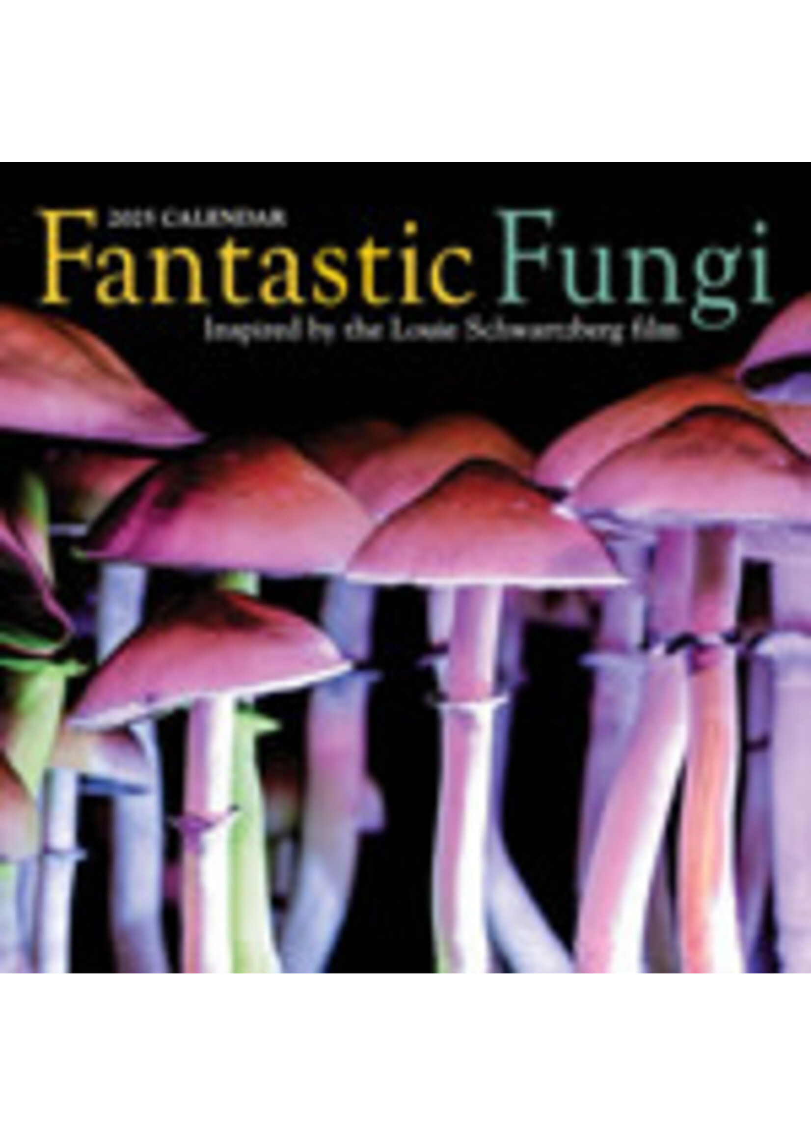 Fantastic Fungi Calendar 2025