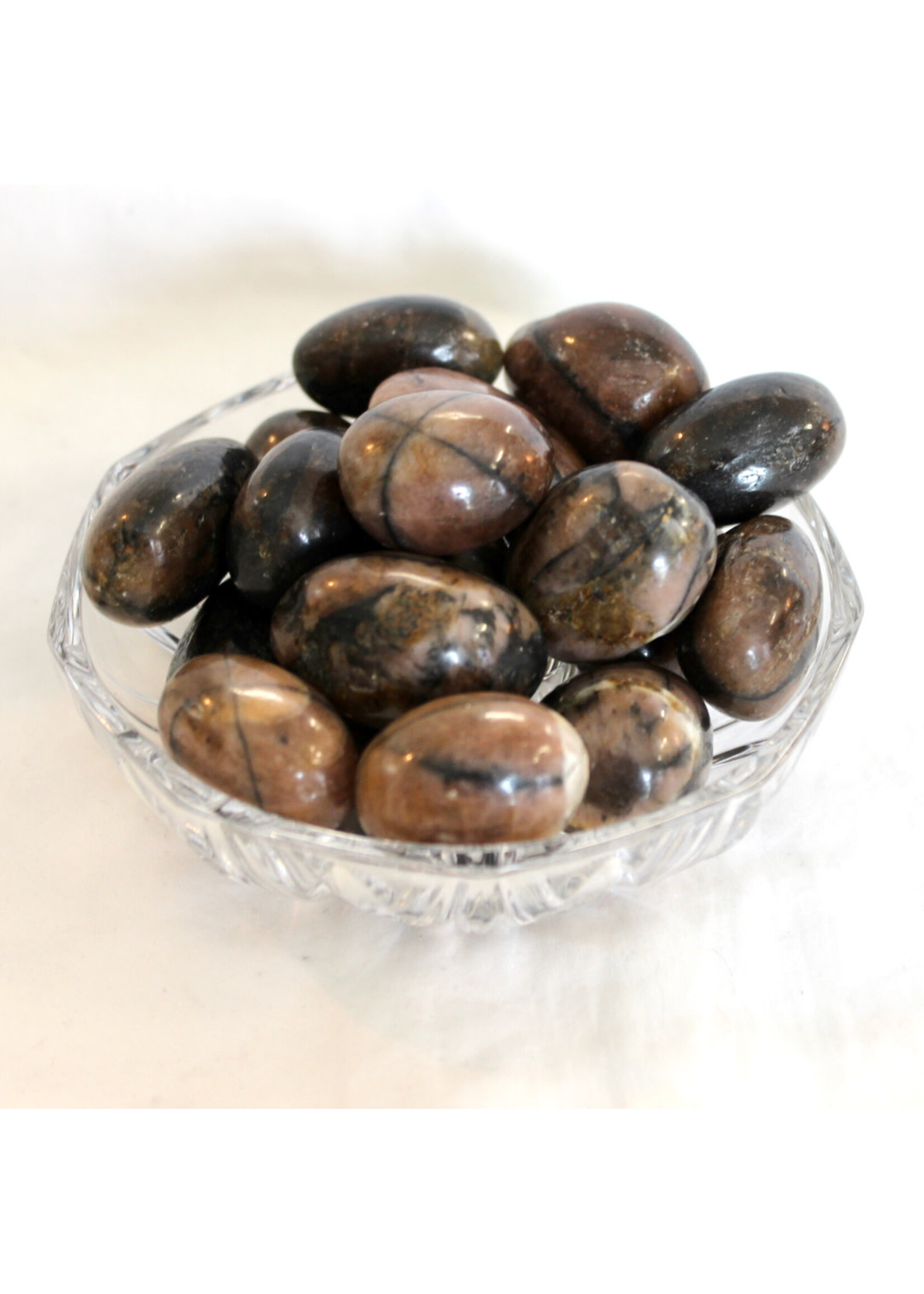 Positive Vibes Chiastolite (Andalusite) Pocket Stones