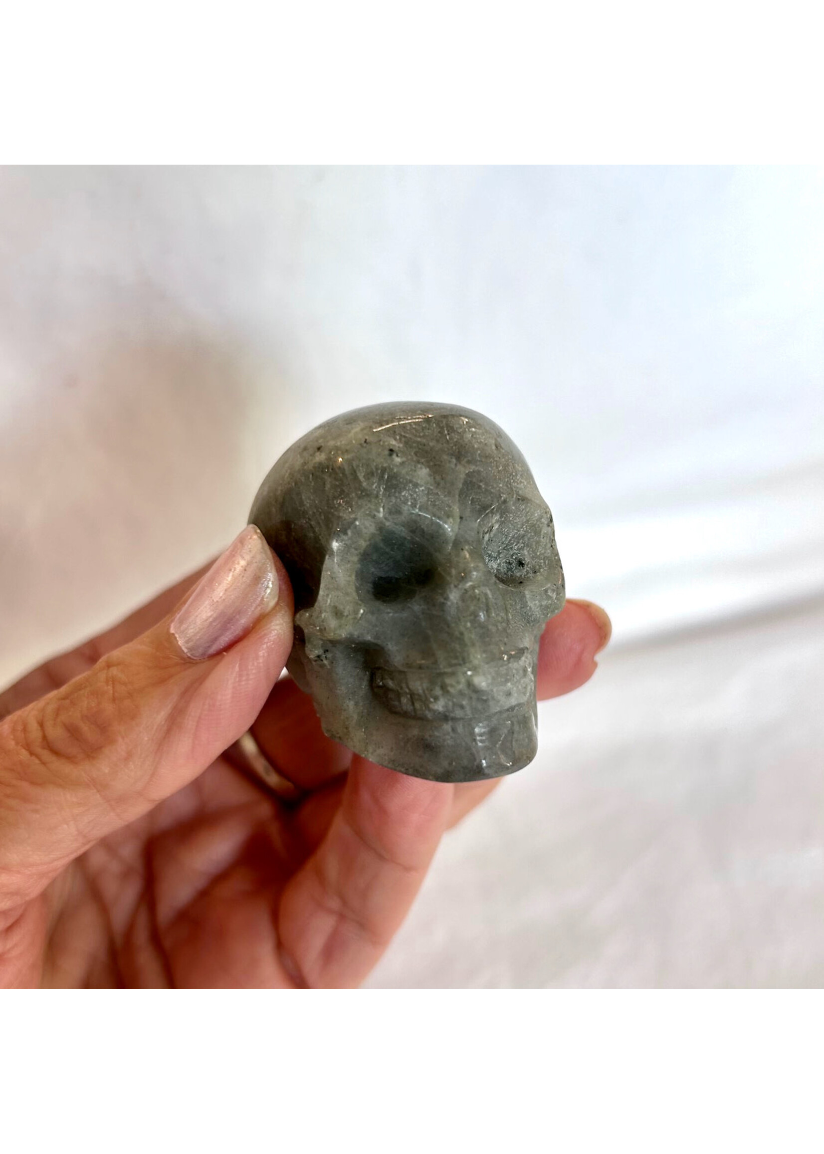 Skulls for ancient wisdom