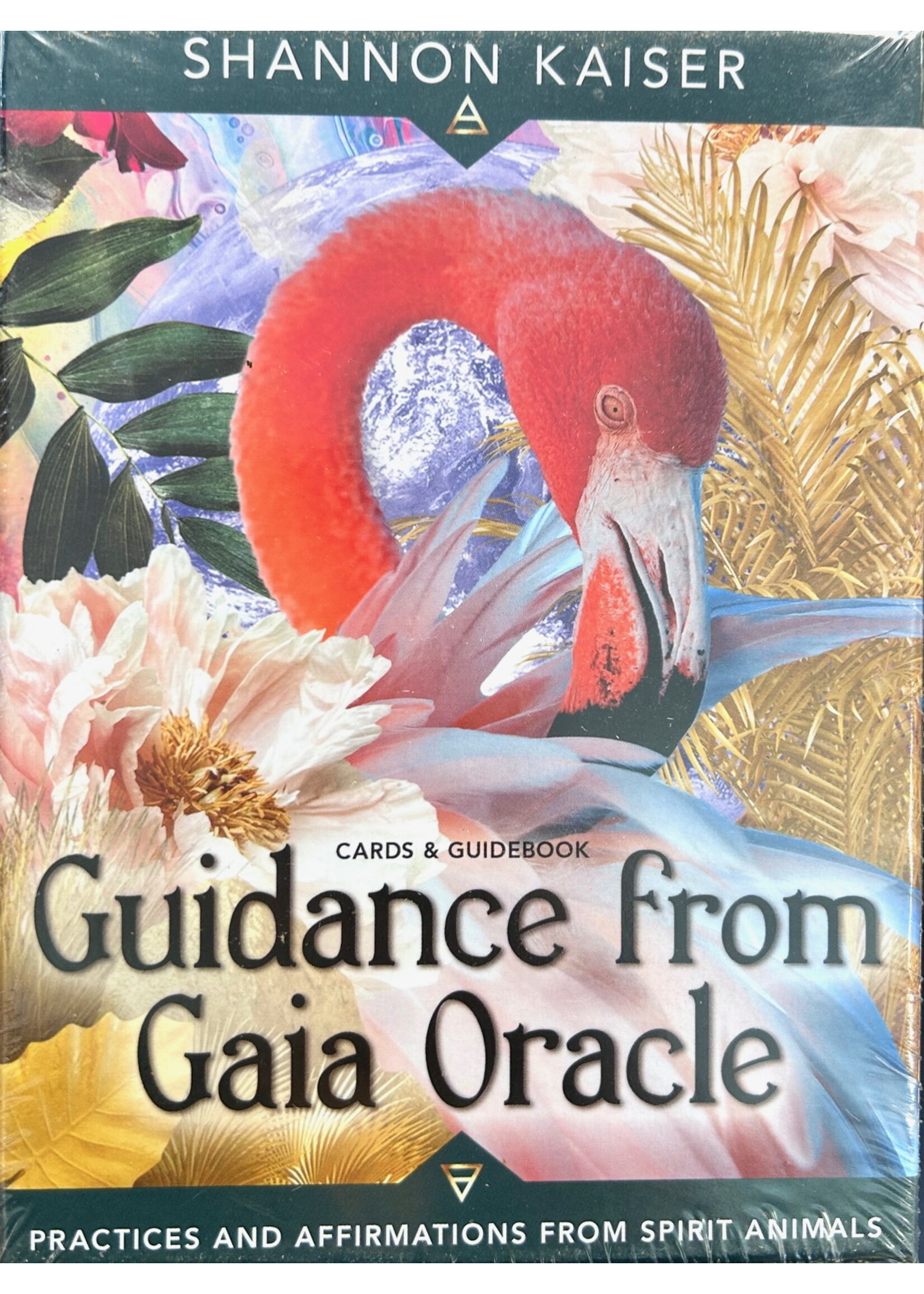 Guidance from Gaia Oracle