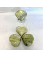 Infinite Hearts for Compassion and Forgiveness