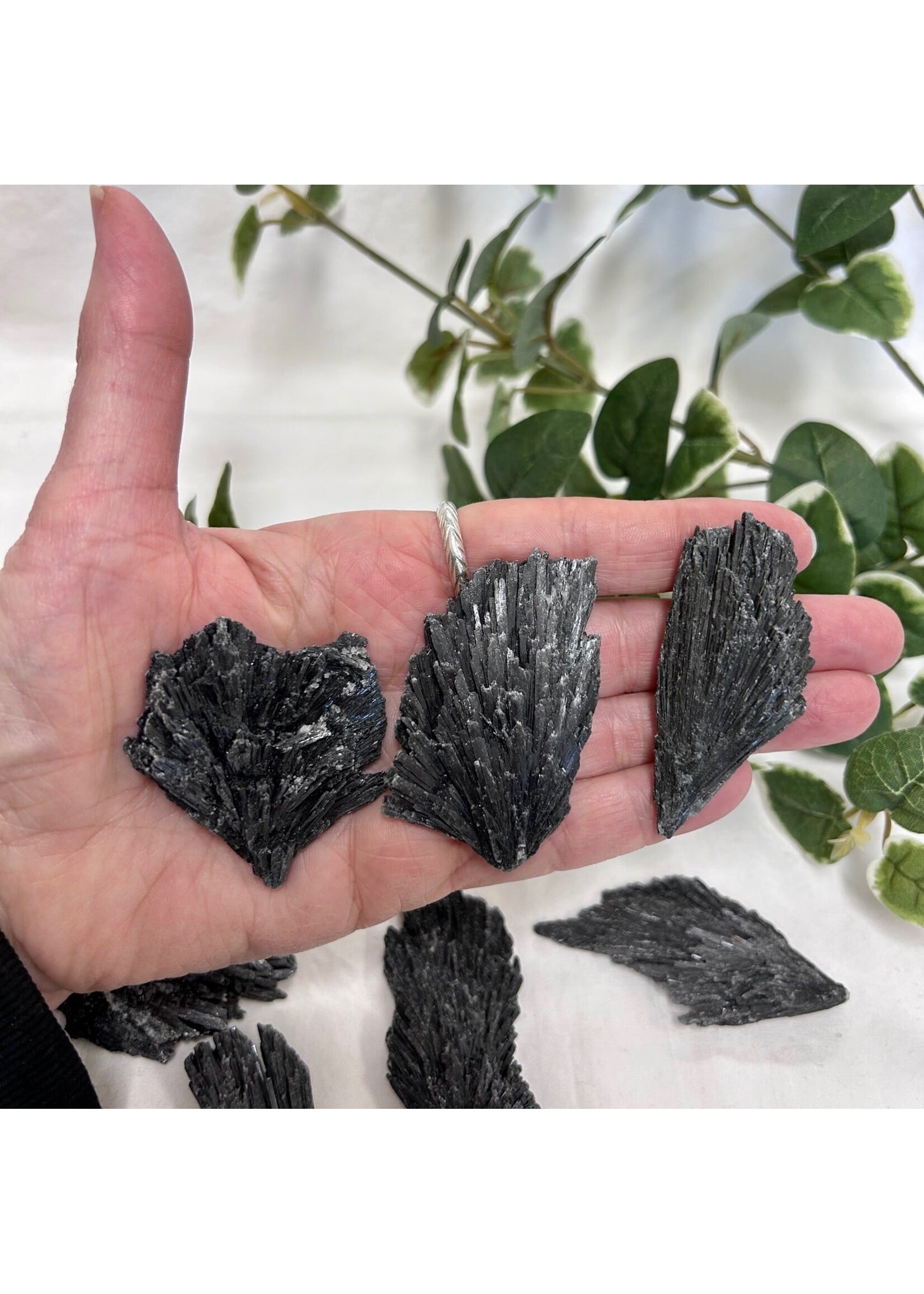 Black Kyanite Blades for protection and cutting cords