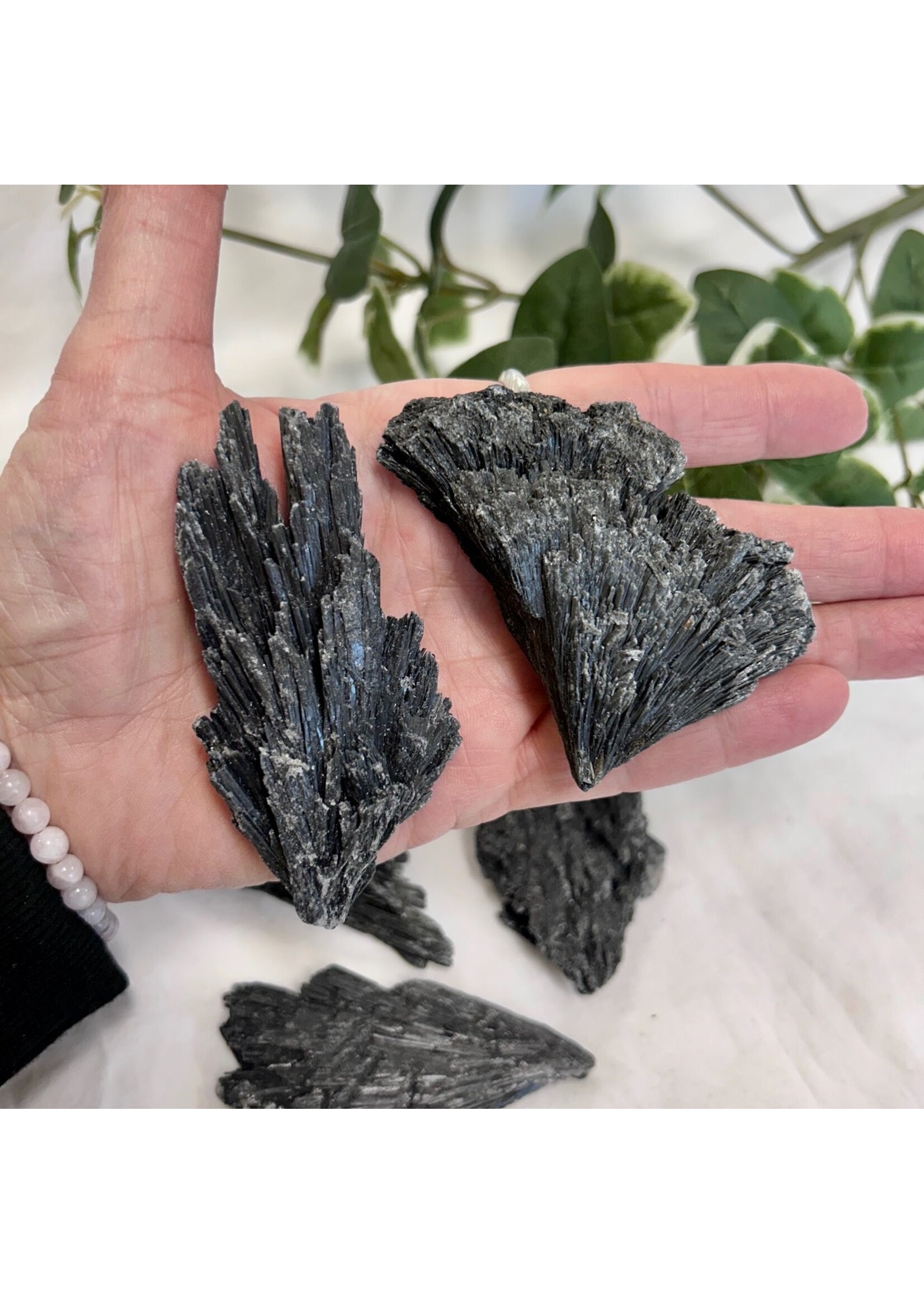 Black Kyanite Blades for protection and cutting cords