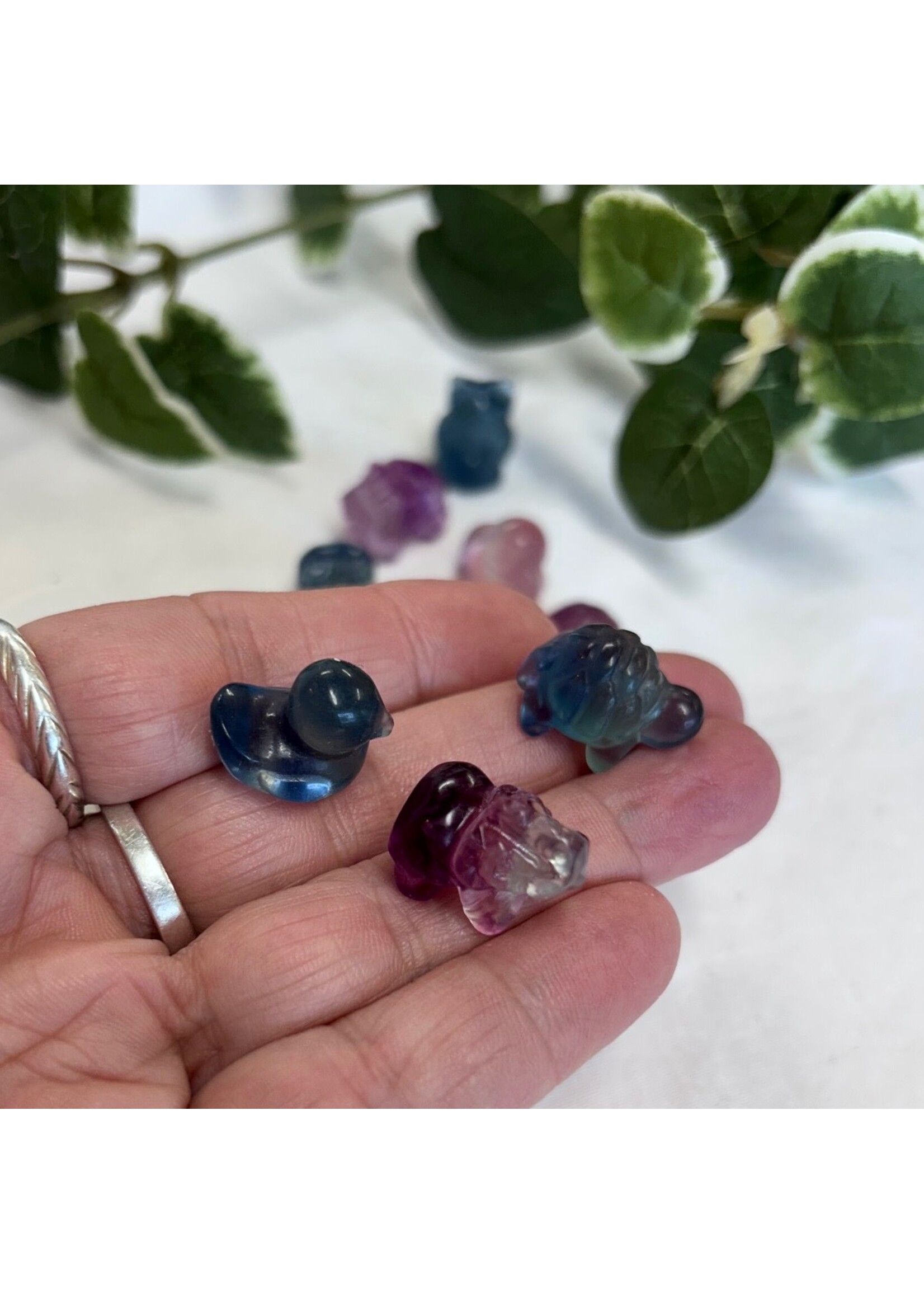 Fluorite Animals Assorted