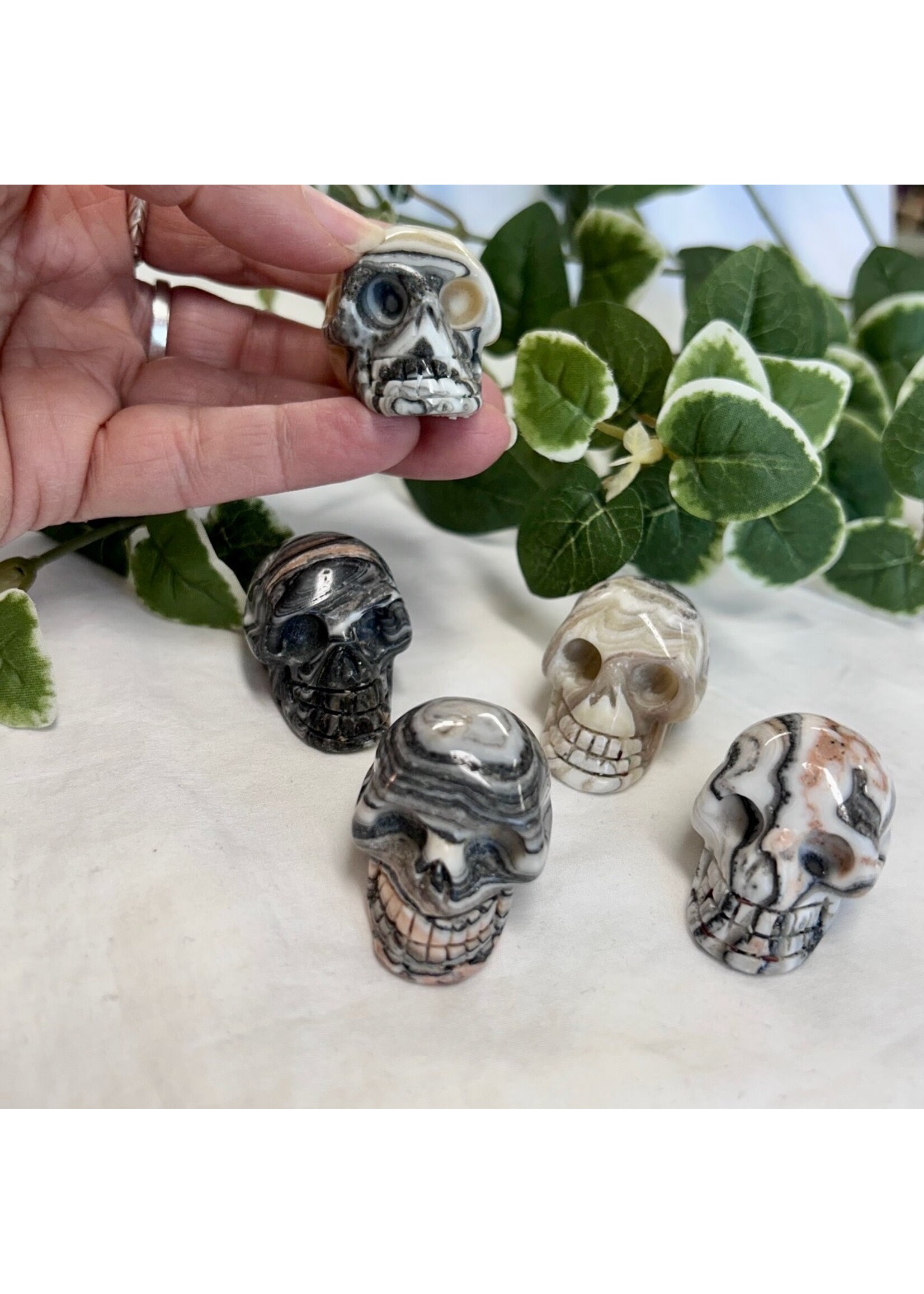 Zebra Jasper Skulls for Balance