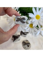 Staurolite (Fairy Stone) for fairy magic