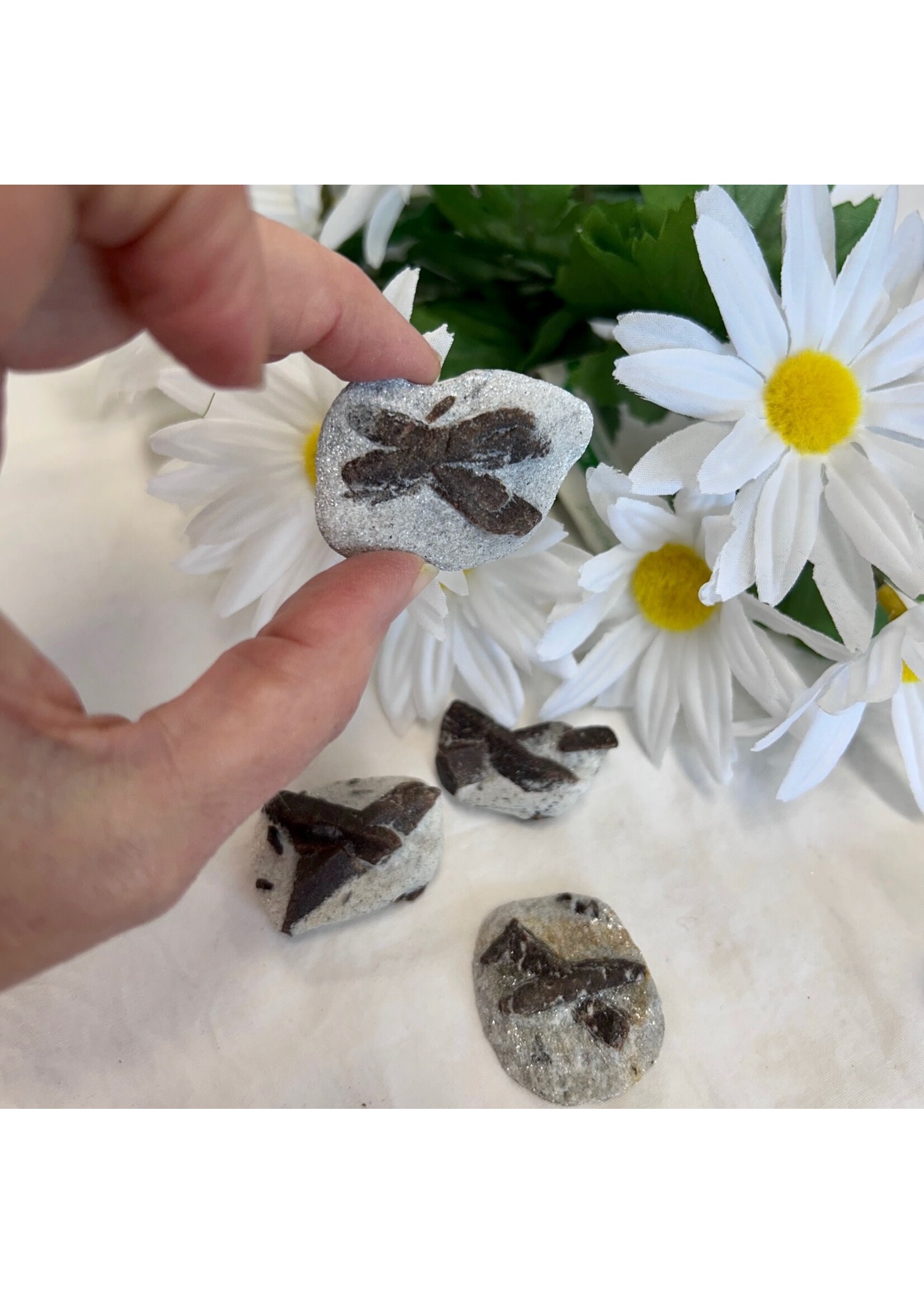 Staurolite (Fairy Stone) for fairy magic