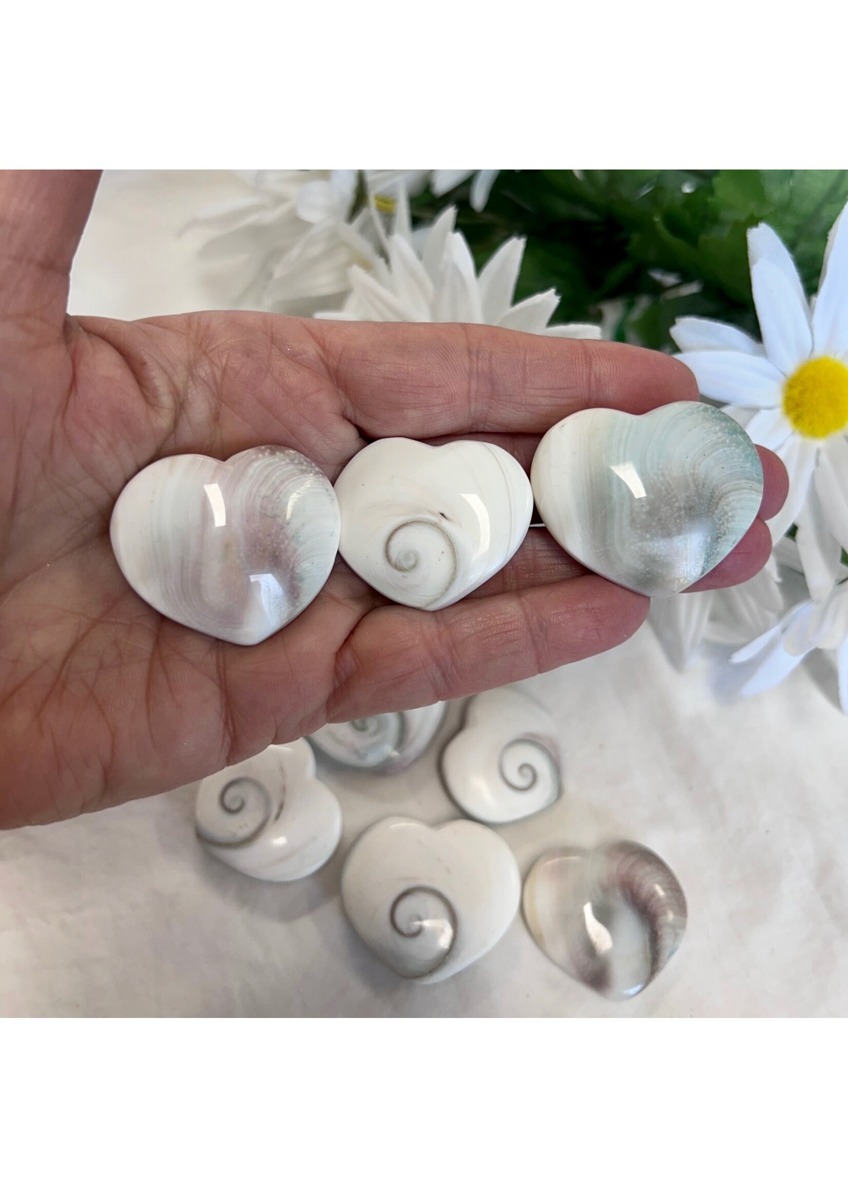 Shiva Eye Shell Hearts