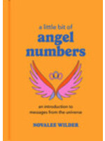 Little Bit of Angel Numbers