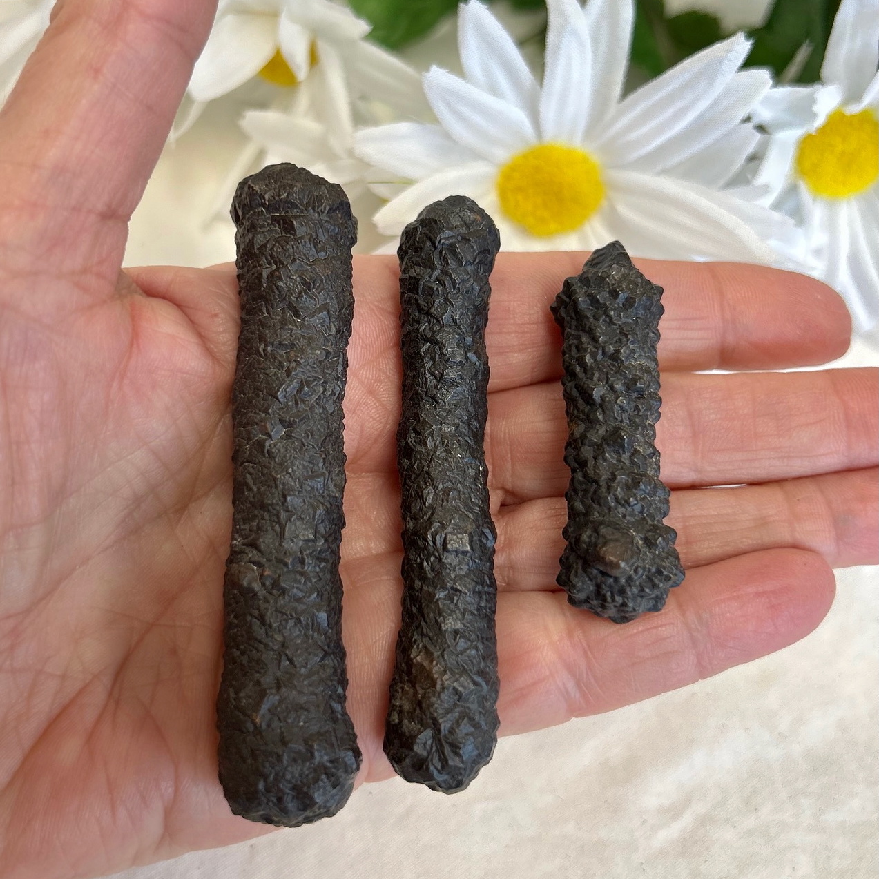 Black Diamond - Carbonado