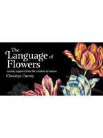 Language of Flowers Inspiration Deck